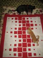 Square Quilt Tutorial by Shana Schasteen from 9 Stitches